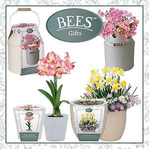 G Plants’ new BEES gifts range.