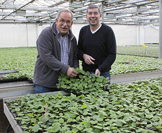 Lubera and Robert Mayer representatives in a greenhouse