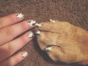 dog and owner with matching nails 