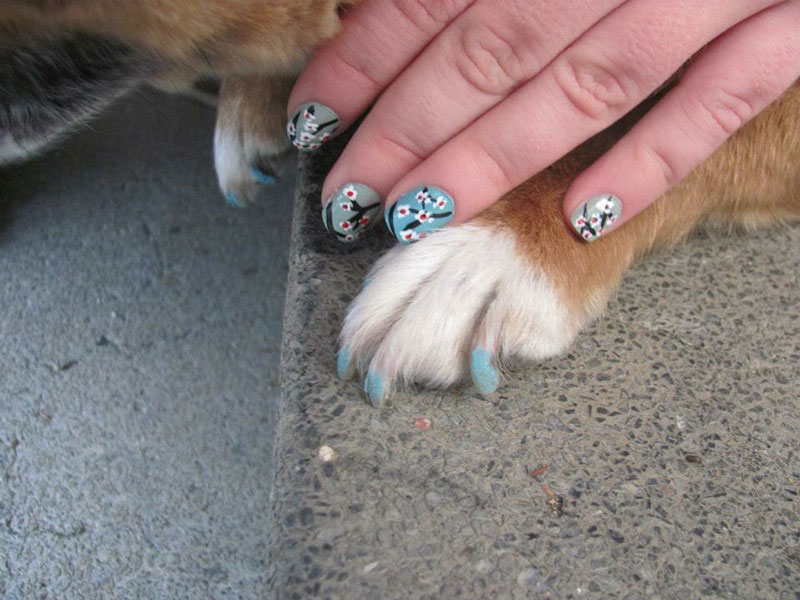 dog and owner with matching painted nails 