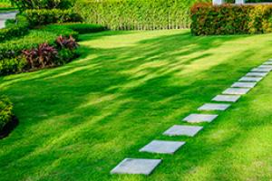 Evergreen Garden Care - Lawn Care Q&A