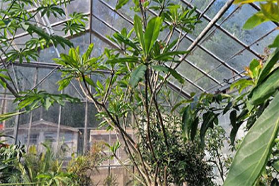 Tomtech Control Systems Enhance research capabilities in university's greenhouses