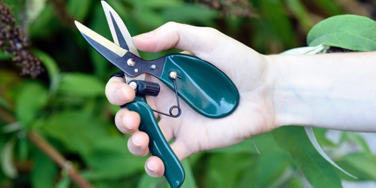The RHS endorsed Ergo Deadheader from Burgon & Ball has taken top honours in the GIMA Awards’ ‘Garden Tools, Machinery and Implements’ category. The RHS endorsed Ergo Deadheader from Burgon & Ball has taken top honours in the GIMA Awards’ ‘Garden Tools, Machinery and Implements’ category.