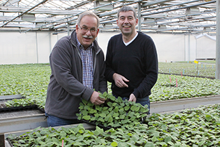 Lubera and Robert Mayer representatives in a greenhouse