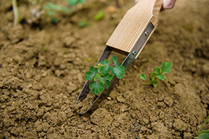 Kent & Stowe Specialist Weeding Range
