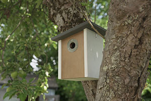 Henry Bell new nest box for national nest box week