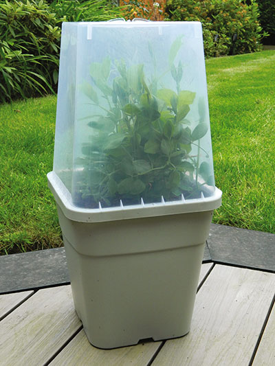 Included in Garlands New Products - Garland’s 25cm Propagator Pot