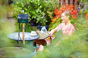 Irrigatia’s watering systems.
