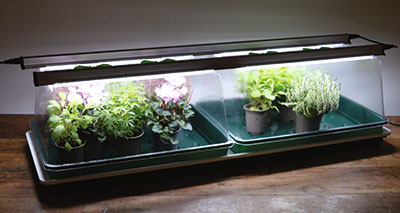 Garland’s 120cm LED Double High Top Propagator Light Kit.