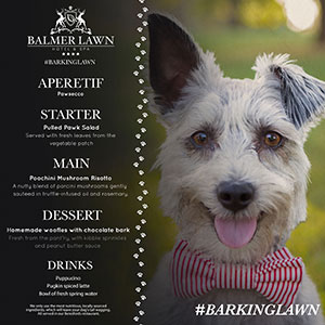Balmer Lawn launches a new ‘Barking Lawn’ menu for its furry friends