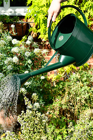 Burgon and Ball 9L waterfall can British Racing Green - new watering cans