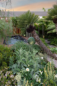 Kate Gould’s Gold Medal ‘Out of the Shadows’ RHS Chelsea Flower Show garden