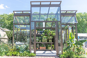 Hartley Stand RHS Chelsea Show 2022 - The Magnum Opus Glasshouse