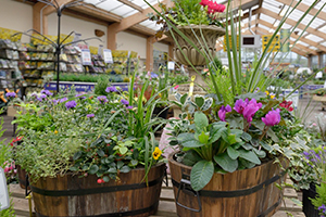 Outdoor plant sales continue to grow
