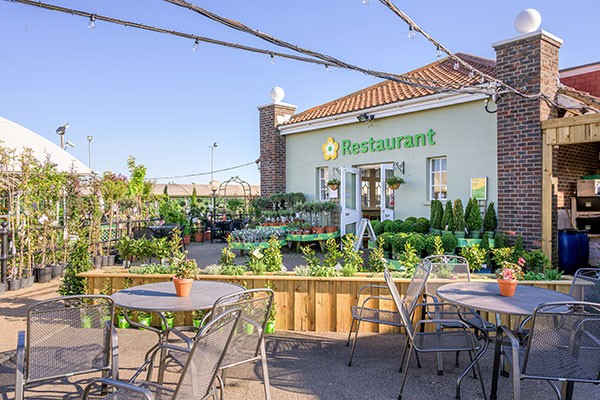 Dobbies restaurant Outdoor Space