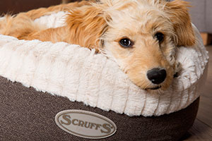 Scruffs® New ‘Ellen’ Bedding Collection Available in November