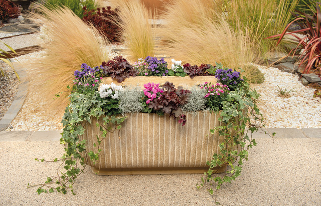 Toscana Grande product