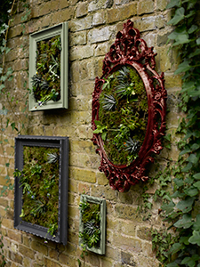 Create Your Own Garden Gallery Wall