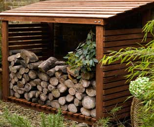 Making the most of your garden this autumn