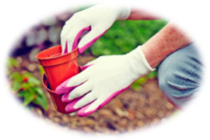 bestselling gardening glove