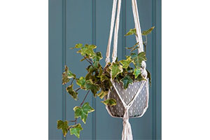 spring gifts - hanging pot