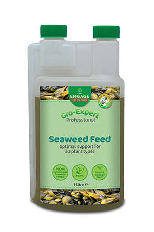 Gro-Experts Seaweed 1L - Plant Nutrition