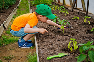 Haskins launches new Facebook page to encourage children to get outside and enjoy gardening