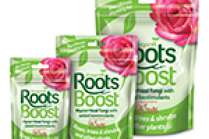 Dragonfli Roots Boost