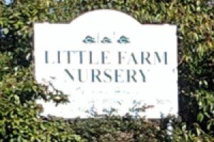 Little Farm Nurseries - Garden Centre To Let
