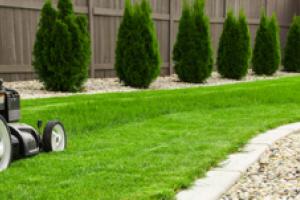 Beautiful garden - lawnmower cutting grass