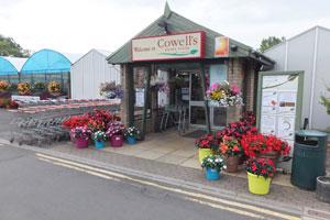 Cowell garden centre