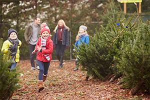 Christmas Tree Growers