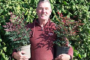 Wyevale Nurseries to introduce recyclable plant pots