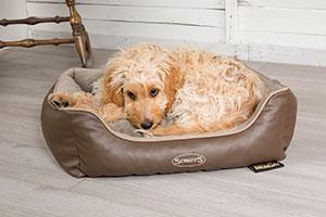 Memory Foam Dog Bed