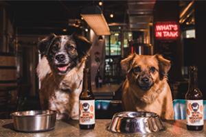 Brewdog - First Craft Beer For Dogs