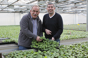 Lubera and Robert Mayer representatives in a greenhouse