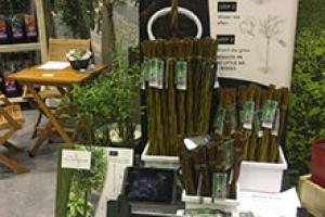 Willow Wands with newly launched trade display units