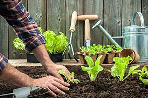 Exercise to Grow your Garden