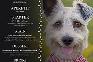 Balmer Lawn launches a new ‘Barking Lawn’ menu for its furry friends