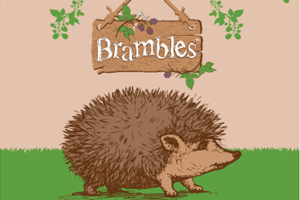 Brambles Pet and Wildlife Giveaway Hedgehog Awareness Week logo