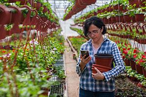 5 ways to financially improve your landscaping business - a woman on phone in plant nursery