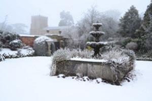 Winter garden - Preparing your Garden for Spring, in Winter