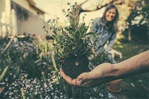 Gardening deemed critically important