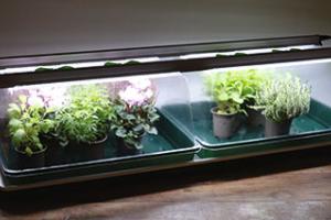 Garland’s 120cm LED Double High Top Propagator Light Kit.