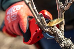new felco electric secateur