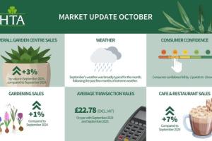 Steady September