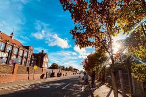 Greener Streets