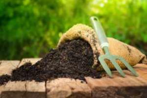 Peat Free Compost