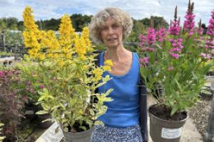 A woman holding two potted plants