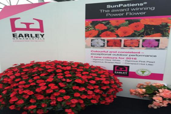 Earley Ornamentals stand at Four Oaks 2015